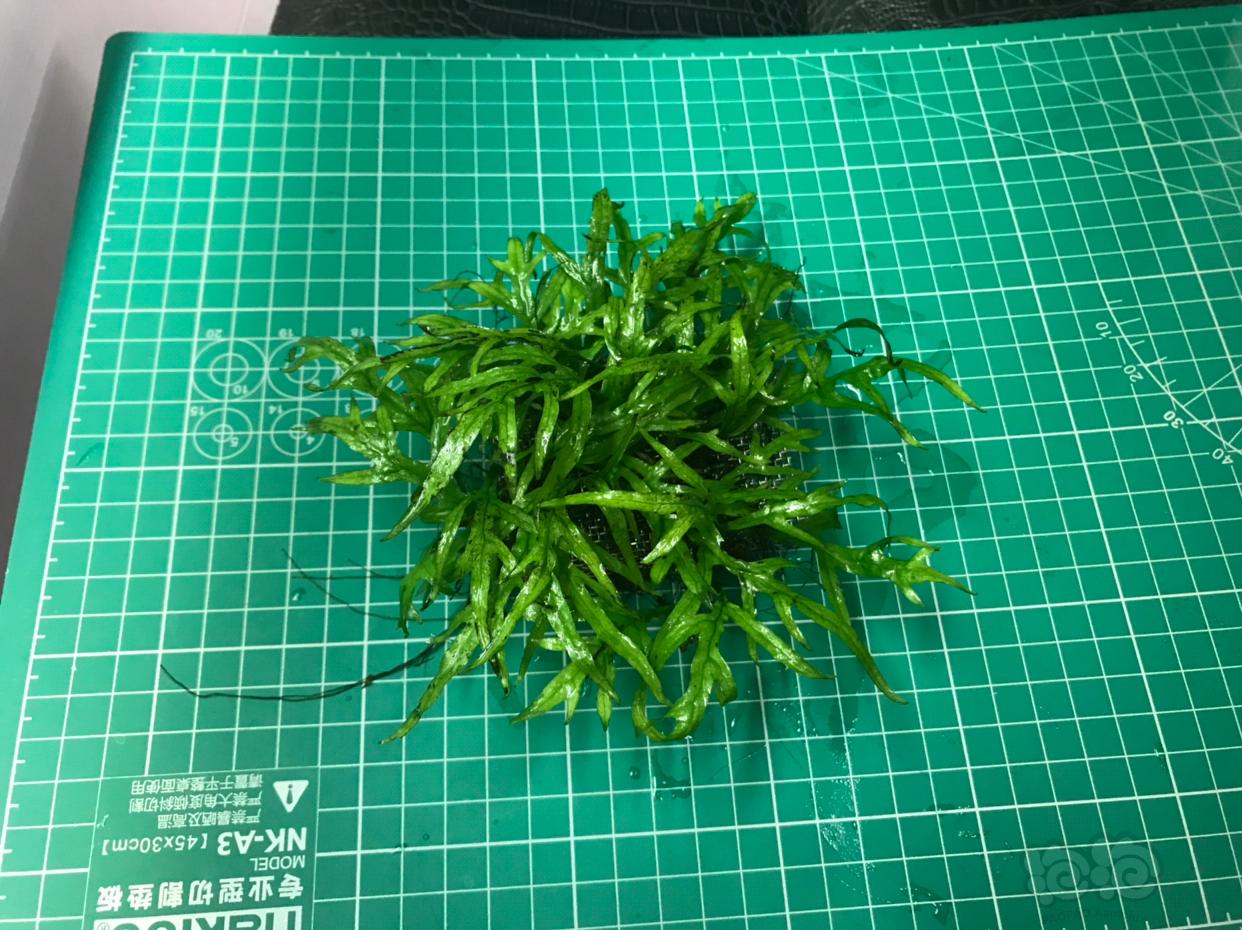 beat·365-恋梦空间2朱云慧被吐槽做作 为什么男嘉宾们最喜欢她？